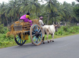 'Business tour' by sahadk, Photography->Still life gallery