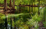 Made In The Shade by PatAndre, photography->water gallery