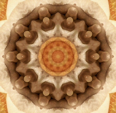 Click here to view at full resolution.
