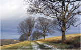 a walk on the wild side.............. by fogz, Photography->Landscape gallery a walk on the wild side.............. by fogz, Photography->Landscape gallery