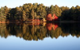 Pond Reflections by Tomeast, photography->nature gallery