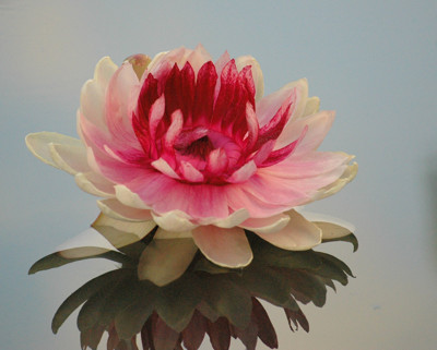 Click here to view at full resolution.