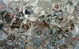 Ice Abstract by Tomeast, Photography->Textures gallery