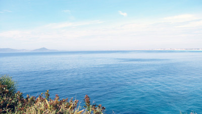 Click here to view at full resolution.