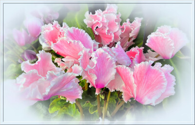 Click here to view at full resolution.