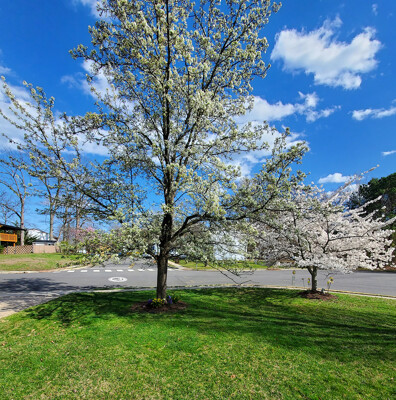 Click here to view at full resolution.