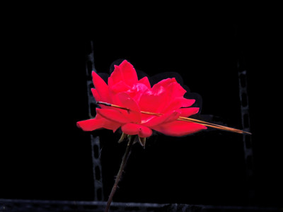 Click here to view at full resolution.