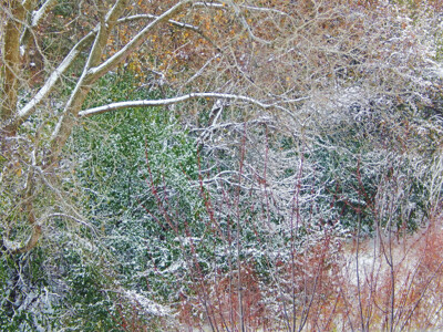 Click here to view at full resolution.