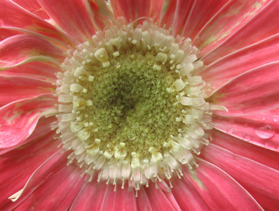 Click here to view at full resolution.