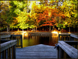 Morning Colors by amishy, Photography->Nature gallery