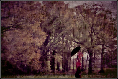 Click here to view at full resolution.