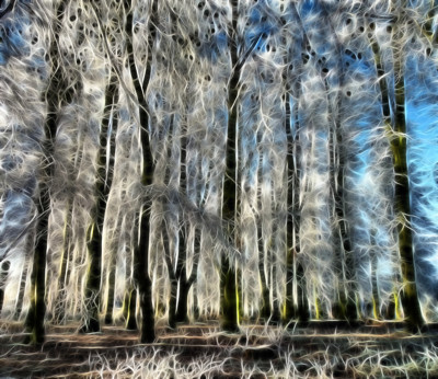 Click here to view at full resolution.