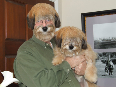 Click here to view at full resolution.