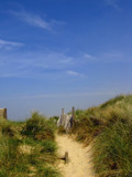 dune by gaeljet2, Photography->Landscape gallery