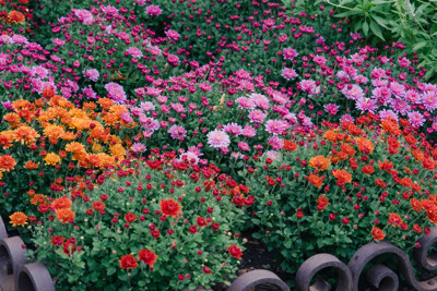 Click here to view at full resolution.