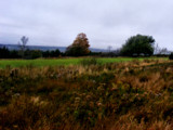 Lilyvale by Eubeen, photography->landscape gallery
