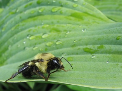 Click here to view at full resolution.