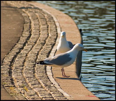 Click here to view at full resolution.