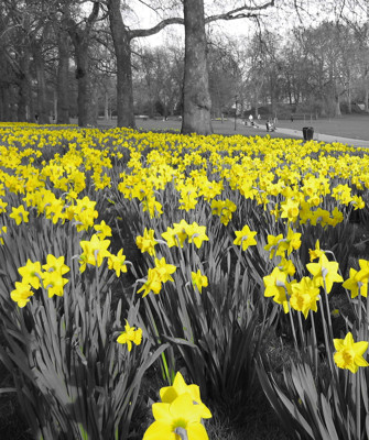 Click here to view at full resolution.