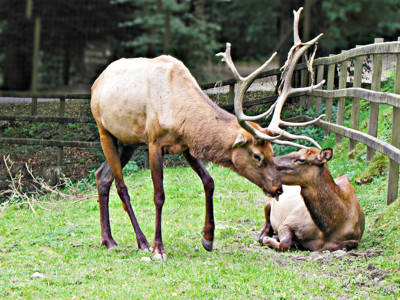 Click here to view at full resolution.