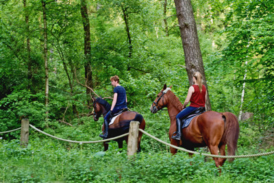 Click here to view at full resolution.