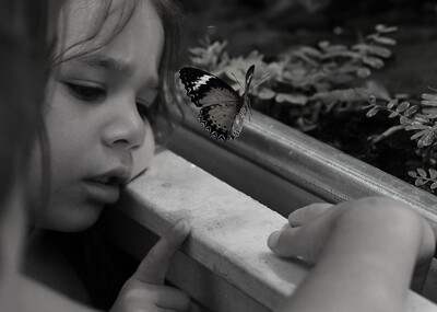 Click here to view at full resolution.