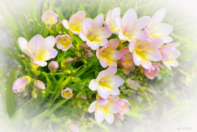 Click here to view at full resolution.