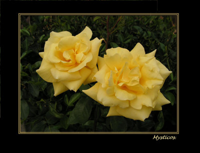 Click here to view at full resolution.