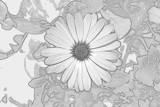 Yesterday's foof by GomekFlorida, contests->b/w challenge gallery