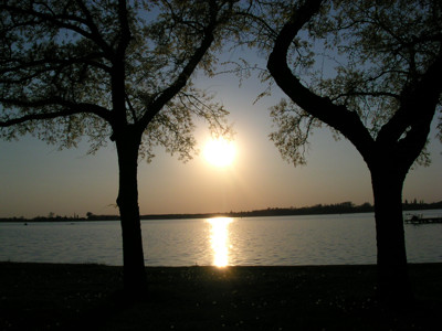 Click here to view at full resolution.