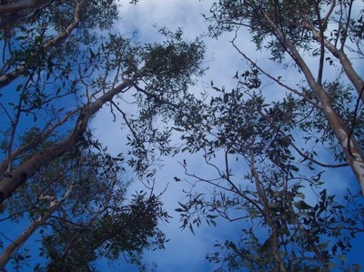 Click here to view at full resolution.