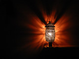 Pyrophorus noctiluca by monkeypuzzle, Photography->Still life gallery