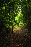 Morning Commute by Eubeen, photography->nature gallery