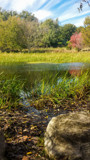 Across the Marsh by Pistos, photography->nature gallery