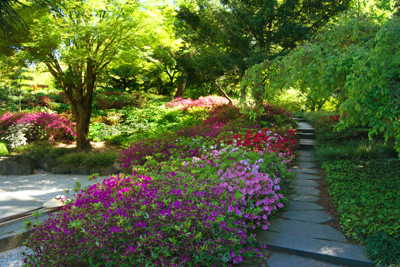 Click here to view at full resolution.