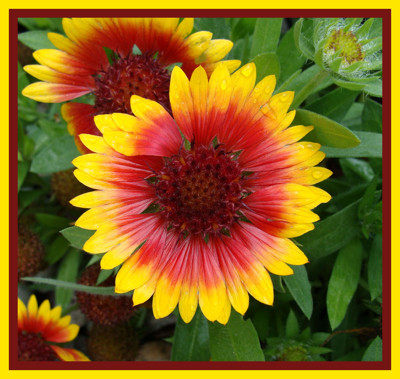 Click here to view at full resolution.
