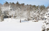 Winter Park Lighthouse by Tomeast, photography->landscape gallery