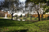 From the Pond by jerseygurl, photography->landscape gallery