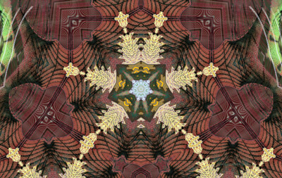 Click here to view at full resolution.