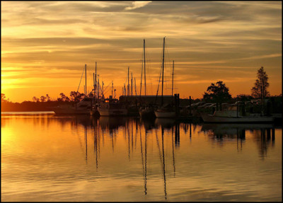 Click here to view at full resolution.