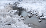 Snow Mallards by Tomeast, photography->nature gallery