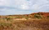 Field in October by Tomeast, photography->landscape gallery