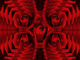 Repeat Roses by bfrank, abstract gallery