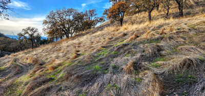 Click here to view at full resolution.