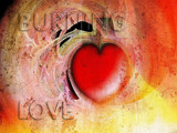 Burning Love by bfrank, holidays gallery