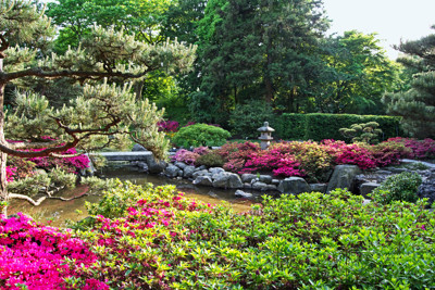 Click here to view at full resolution.