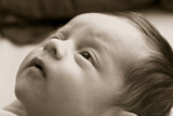 gazing up at dad by jzaw, Photography->People gallery