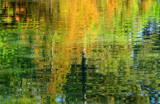 Fall Pond Ripples by PatAndre, photography->water gallery