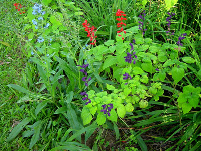 Click here to view at full resolution.