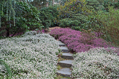 Click here to view at full resolution.